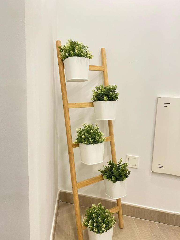 Brisa Puerto Marina Apartments Benalmádena Eksteriør bilde